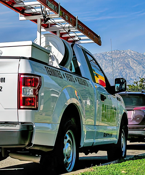 Pest control service vehicle